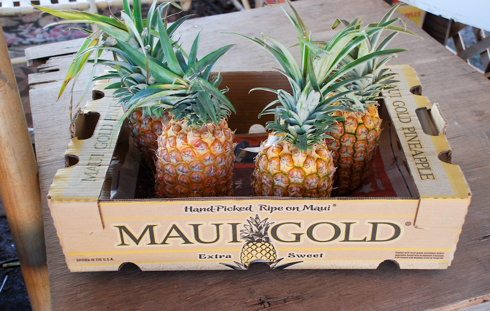 Hawaiian Souvenirs Shopping in Kihei Pender & Peony A Southern Blog