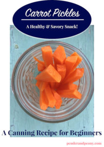 Try this easy canning recipe for carrot pickles. Get it on penderandpeony.com