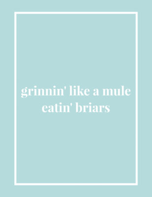 Southernisms-grinning-like-mule-eating-briars