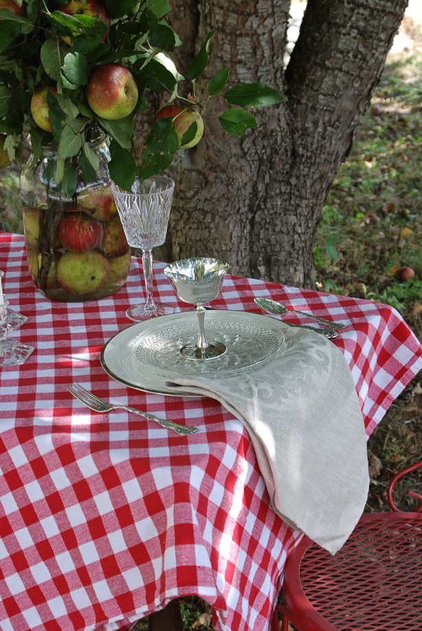 Feel inspired by this rustic and refined orchard tablescape. Set the table for two with elegant tableware and rustic elements for a lovely autumn tabletop. Use apples as your fall centerpiece.