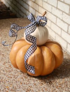 Check out my fall home tour in the Simply Seasonal: Fall Edition blog hop. 9 bloggers share their fall decor ideas and seasonal decorating tips to make the season great.