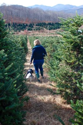 Use these 8 holiday decorating tips make Christmas decorating more meaningful and effortless.