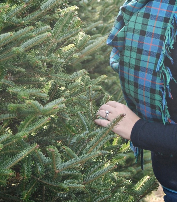 Preppy & Plaid Christmas Tree - Pender & Peony - A Southern Blog