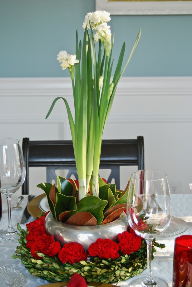 Set an elegant red and white Christmas table with paperwhite centerpiece, boxwood, and magnolia for Christmas dinner