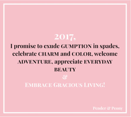 2017 Resolutions Pender & Peony