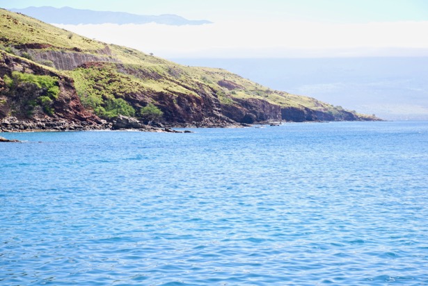 Exploring Hawaii's coral reefs, marine life, and pristine blue waters is an absolute requirement while visiting Maui. Head out on a glorious snorkeling adventure to Molokini with the Pride of Maui!