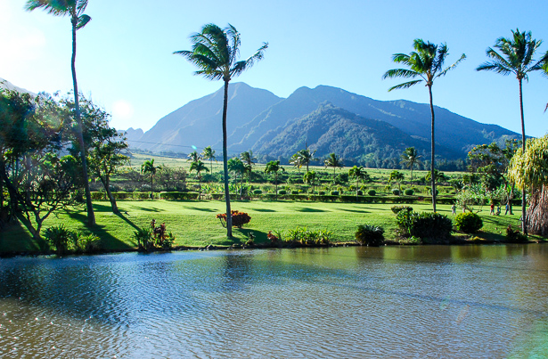 Maui Tropical Plantation - Pender & Peony - A Southern Blog