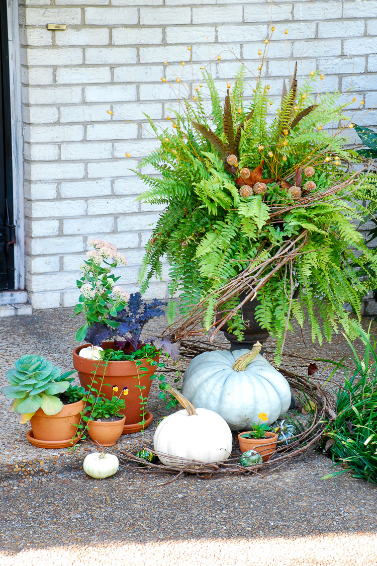 Elevate your curb appeal by adding autumn charm at the front door with punches of purple, heirloom pumpkins, terra cotta pots, fall plants, and festive ferns.