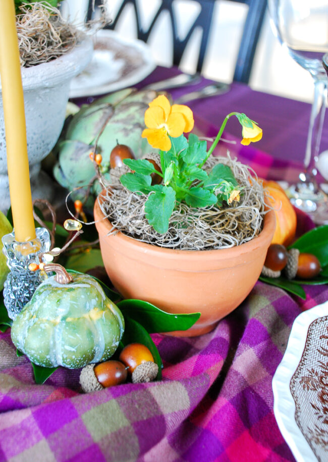 How to Set an Autumn Harvest Table Pender & Peony A Southern Blog