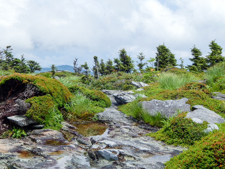 Experience the wonder and adventure of Grandfather Mountain with breath-taking vistas, alpine hiking trails, and rugged mountain scenery.