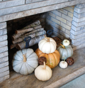 Welcome to my fall home tour 2017! Grab a cup of cider, wrap up in a cozy throw, and light that pumpkin spice candle...autumn is calling!