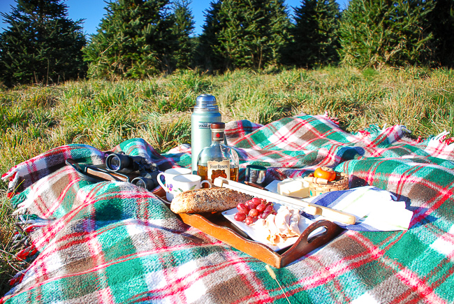 Throw down a wooly plaid blanket and pour the apple cider for a lovely November picnic on the tree farm.