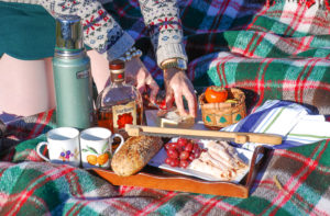 Throw down a wooly plaid blanket and pour the apple cider for a lovely November picnic on the tree farm.