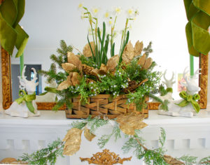 Poinsettia, juniper, paper whites, velvet ribbon, and gold accents mingle merrily in my green & gold Christmas living room!