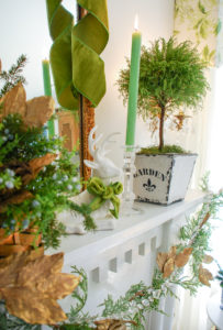 Poinsettia, juniper, paper whites, velvet ribbon, and gold accents mingle merrily in my green & gold Christmas living room!