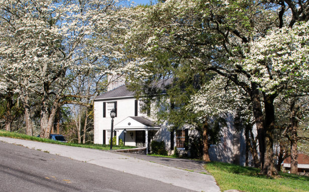 Naming your house: white brick house with dogwood trees in bloom