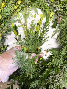 DIY Christmas wreath tutorial - to create your hand of greenery start with boxwood sprigs then layer cedar then some juniper