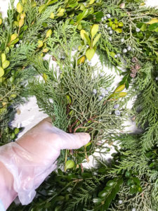 DIY Christmas wreath tutorial - to create your hand of greenery start with boxwood sprigs then layer cedar then some juniper
