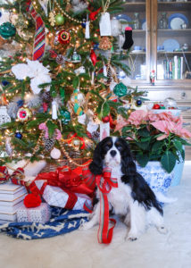 Henry the Cavalier King Charles Spaniel wears a red bow and sits in front of a preppy & plaid Christmas tree
