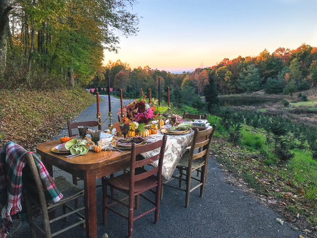 Al fresco Thanksgiving in Blue Ridge Mountains on Christmas tree farm. Set a rustic Chinoiserie Thanksgiving table for 2019 with toile, colorful china, dahlias, and brass.