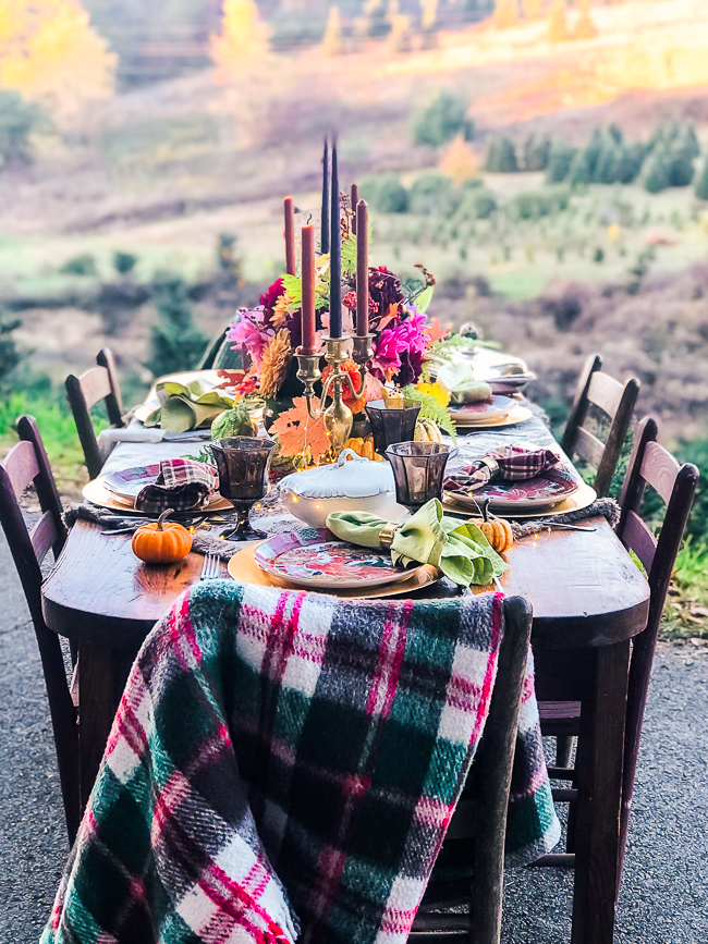 Al fresco Thanksgiving in Blue Ridge Mountains on Christmas tree farm. Set a rustic Chinoiserie Thanksgiving table for 2019 with toile, colorful china, dahlias, and brass.