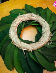 Back of preserved magnolia wreath showing straw ring
