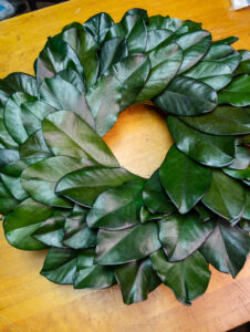 Plain preserved magnolia wreath