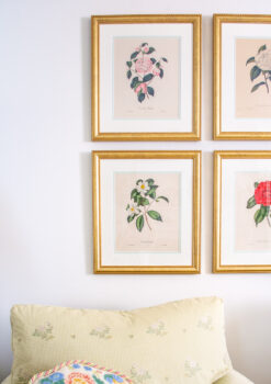 Camellia botanical gallery wall for my grandmillennial living room using antique prints and gold Granby frames from Frame It Easy