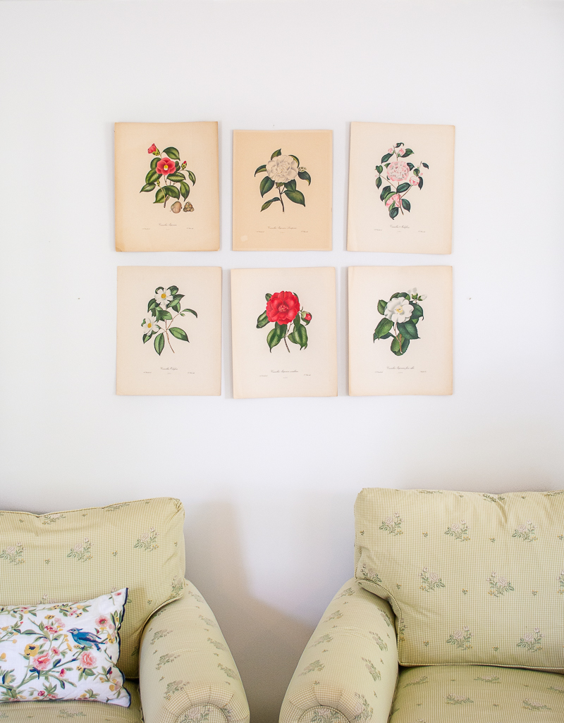 Prints taped up on wall in grid -Planning the arrangement of my camellia engravings on the living room wall