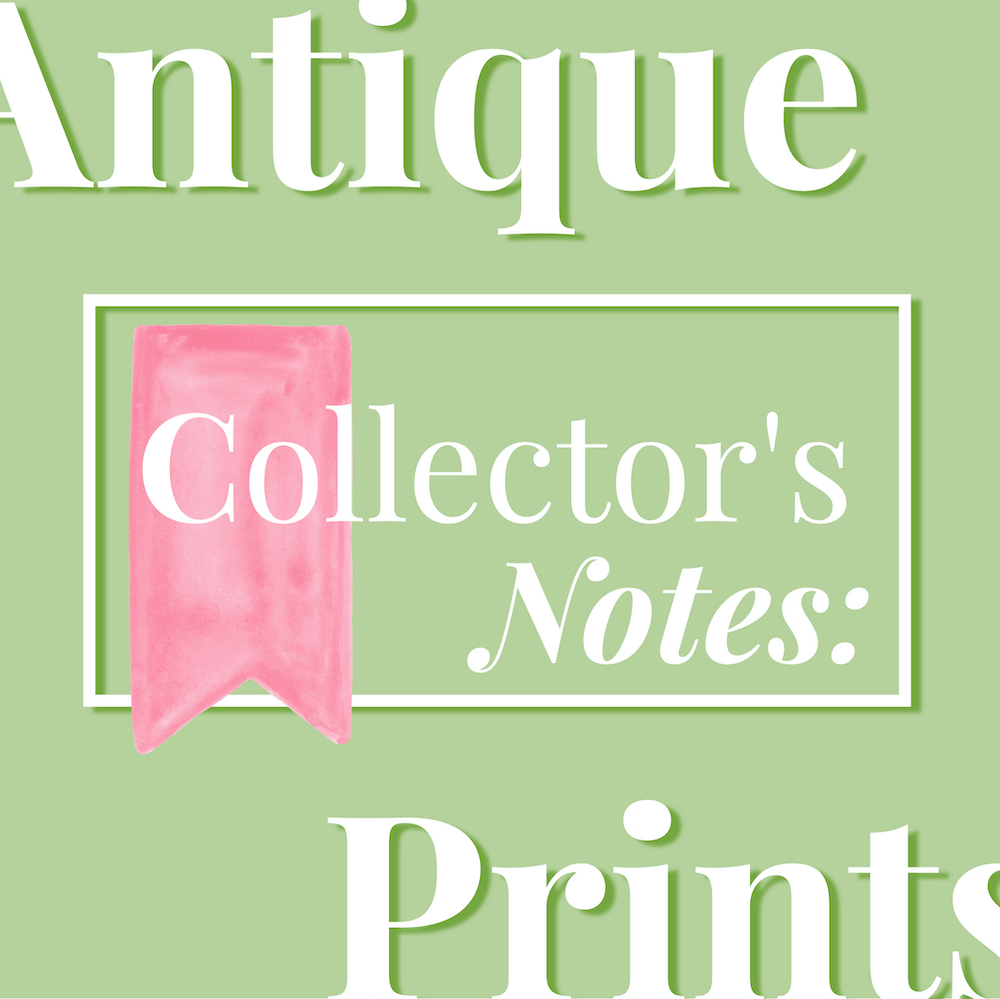 Collector's Notes: Antique Prints graphic in pink and green