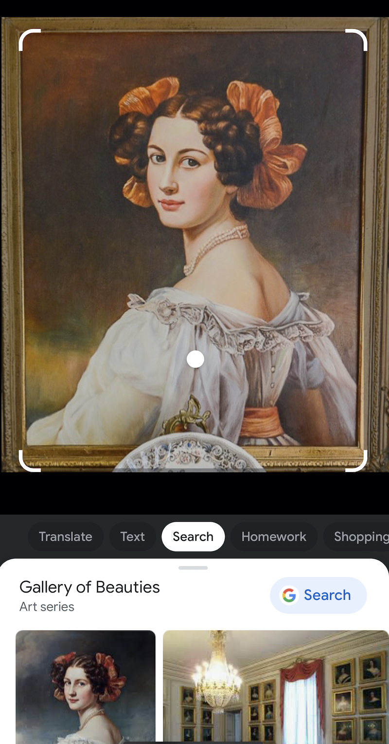 Google image search for portrait
