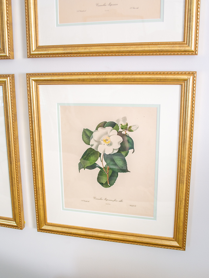 White camellia botanical print on gallery wall in formal living room, framed in gold frame.
