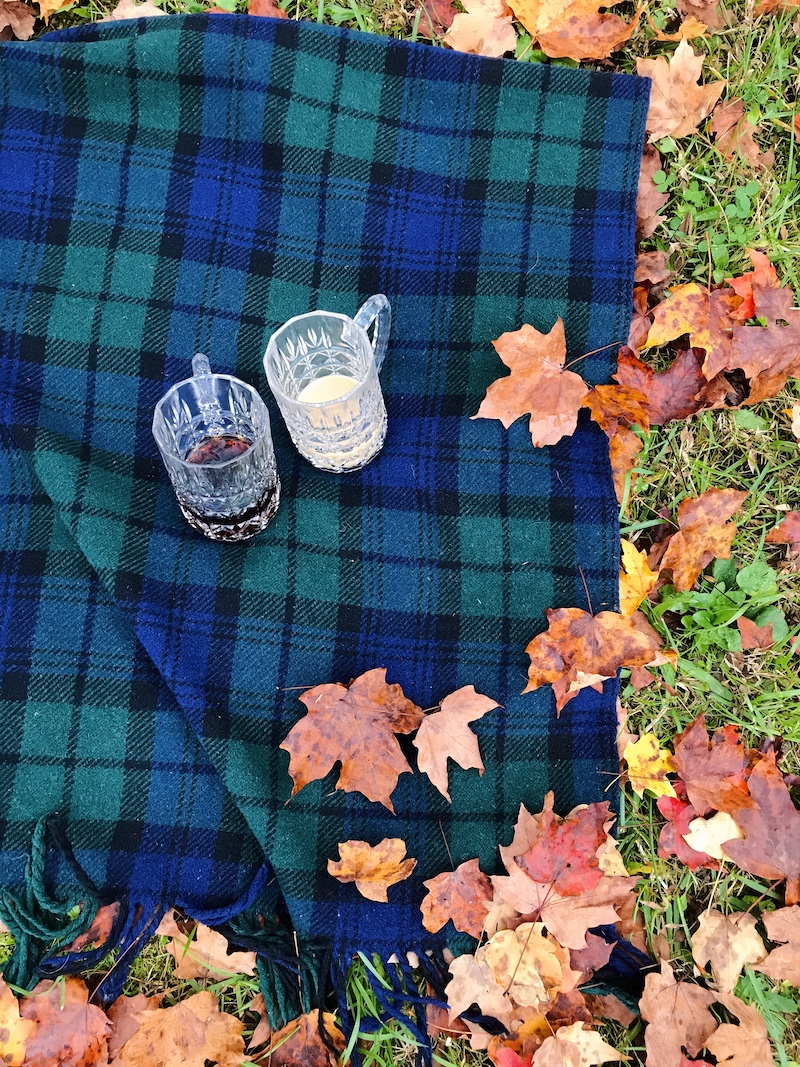 Vintage fall decor - wooly blankets like tartan plaids or Hudson Bay caribou