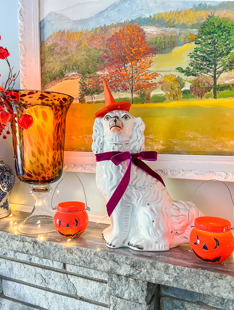 My Staffordshire spaniel Jane dressed up for Halloween with a paper witch's hat and purple velvet bow