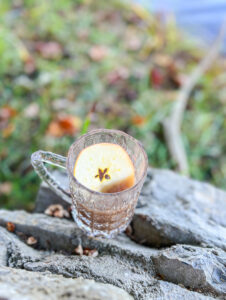 autumn wassail recipe - no alcohol