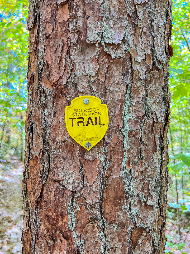 Big Ridge State Park trail marker