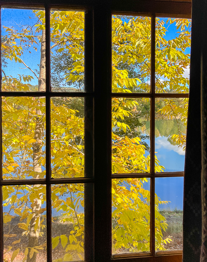 Brilliant autumn hued leaves from the cabin window