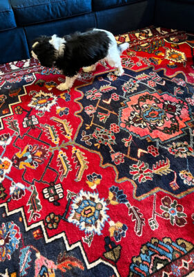 3 Things You Should Know About handmade Persian rugs: important terminology, the looming process, and style characteristics