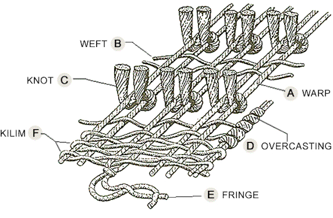 Diagram of rug threads and knots showing warp and weft