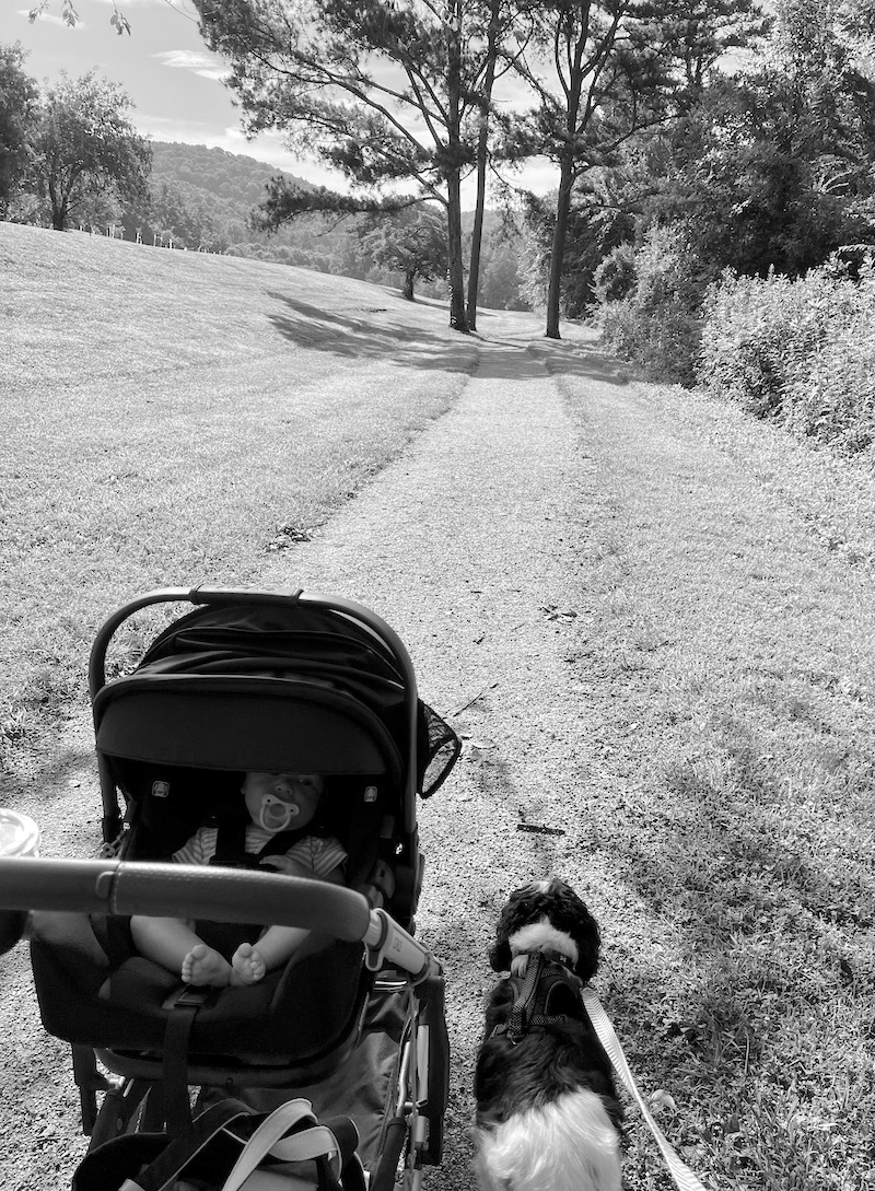 Baby gear review - Nuna Pipa carseat and Uppababy Cruz 2 stroller
