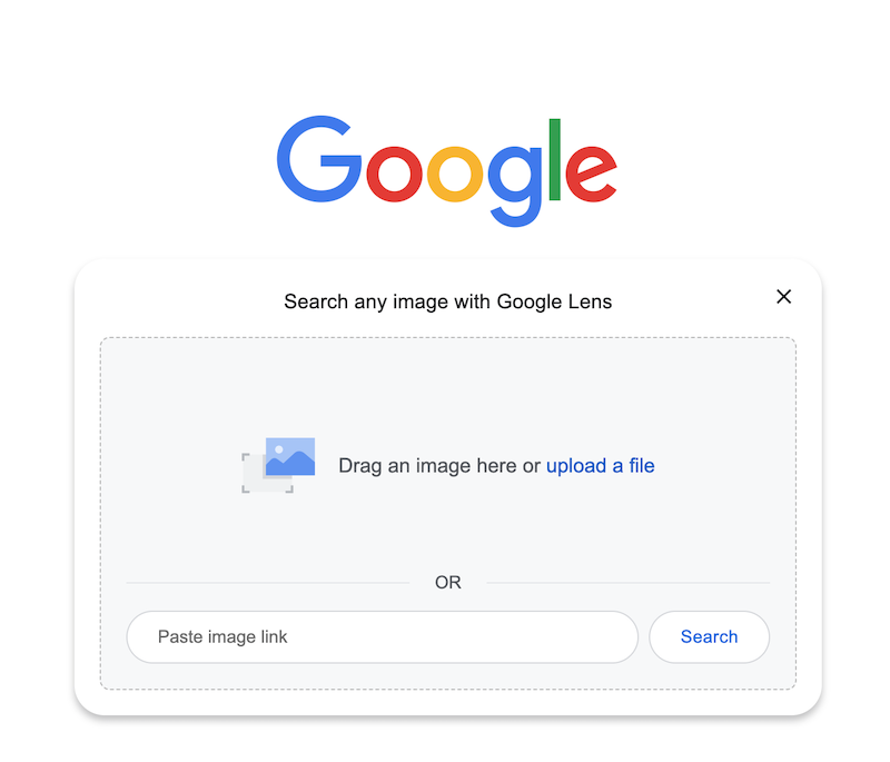 Google Image Search Field