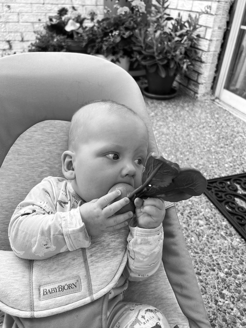 James chewing his rubber radish teether