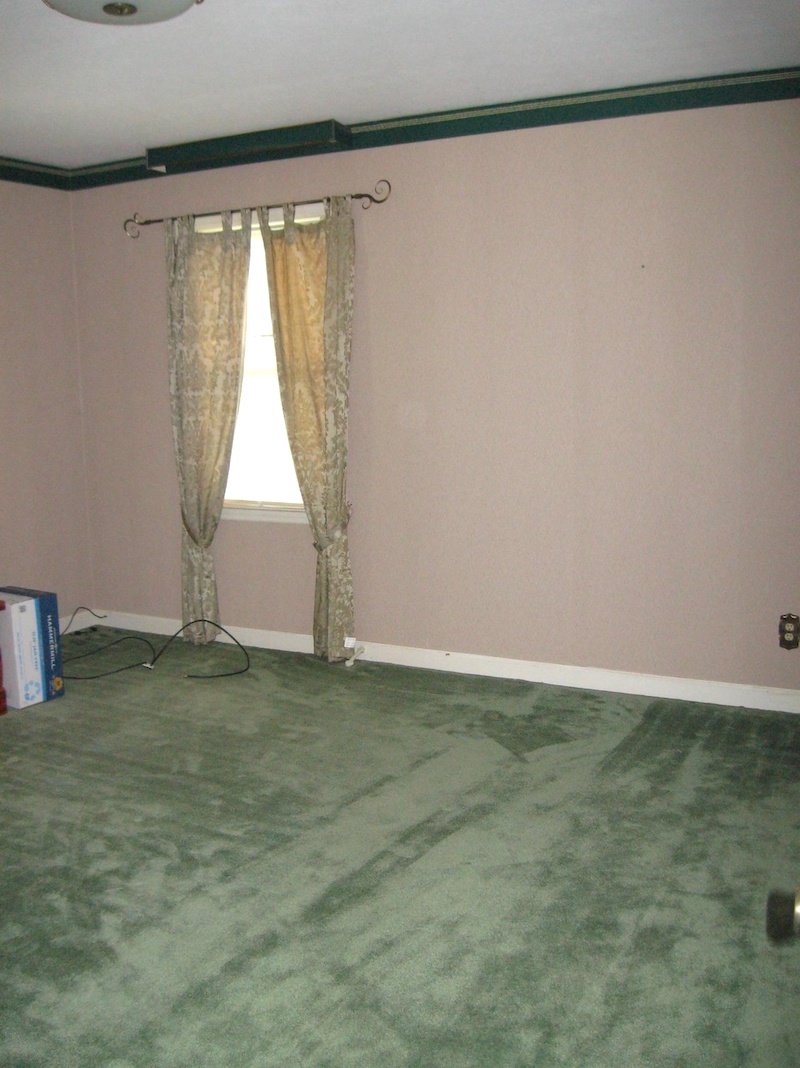 Woodland nursery before