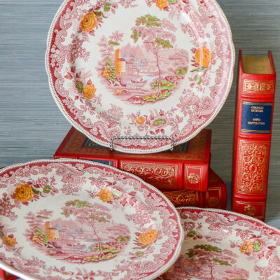 Beautiful multi colored transferware plates featuring scenes from the Rhine Valley.