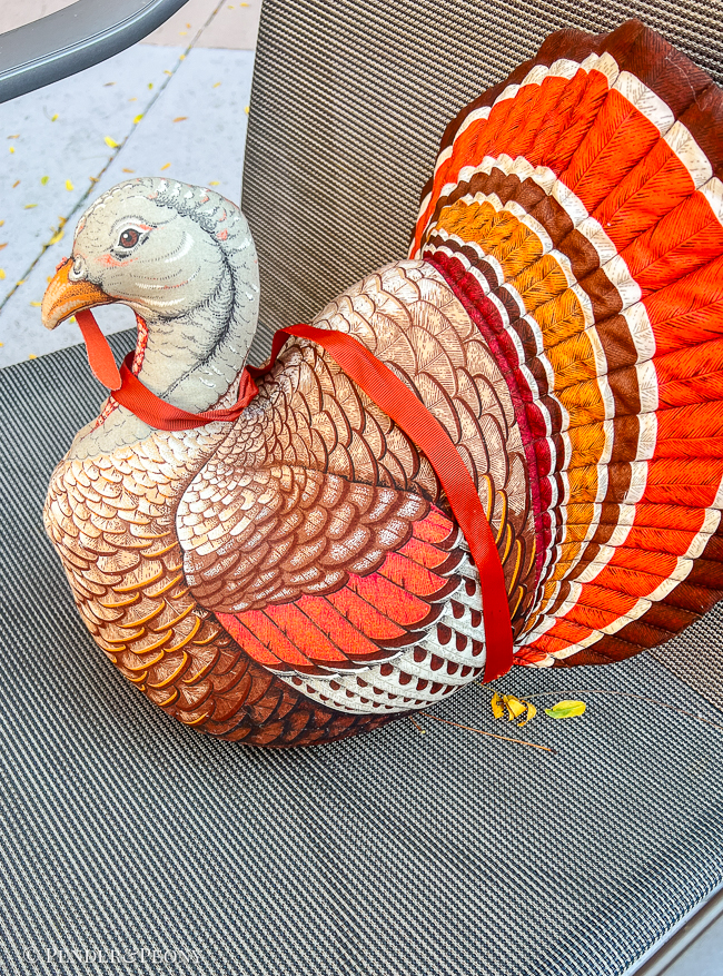 Gobble Gobble the Turkey