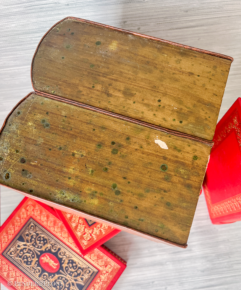 Faux Book Tantalus with 2 Decanters - Image 7