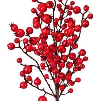 Mixed red berries stem