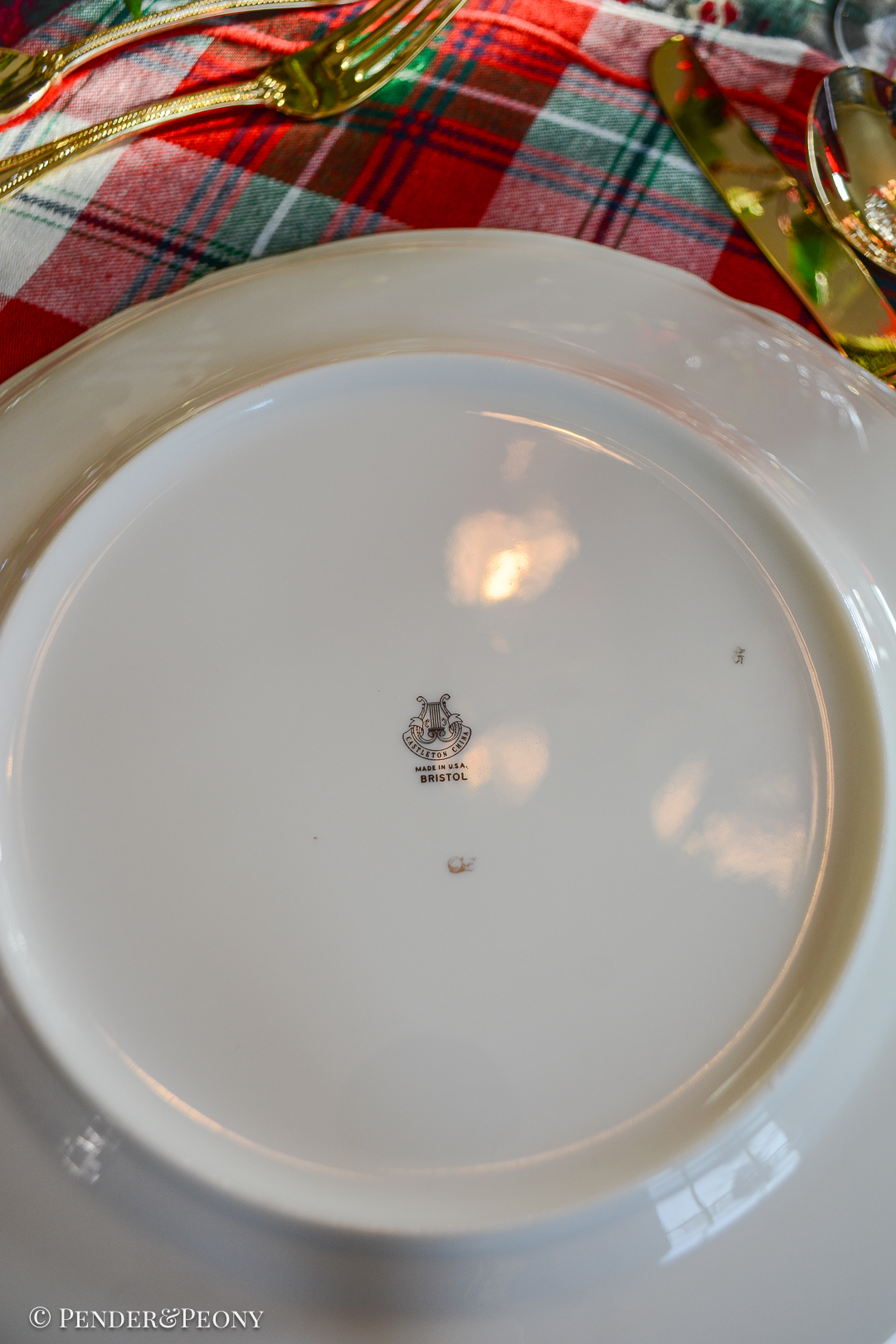 Bristol Castleton China Dinner Plates - Image 4