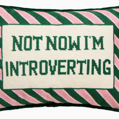 Needlepoint pillow: Not Now I'm Introverting