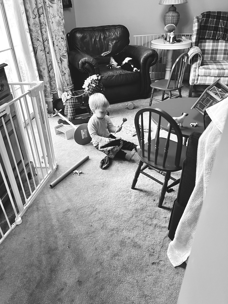 In the play zone - toddlers living with antiques - a practical guide to avoid damage